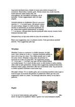 Referāts 'Sēnes', 20.