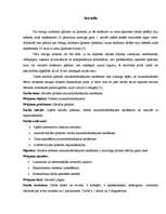 Referāts 'Sociālie pabalsti maznodrošinātajiem skolēniem', 3.
