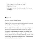 Konspekts 'Ieskaites darbs sportā 12.klasei', 3.