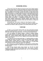 Konspekts 'Senā Kursa', 2.