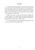 Referāts 'Cilvēka nervu sistēmas normāla fizioloģija un epilepsija', 13.