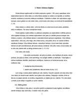 Referāts 'Zobu veselība un profilakse', 3.