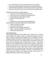 Referāts 'Ekotūrisms', 19.