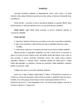 Referāts 'Jaunvārdu darināšanas tendences un nepieciešamība', 2.