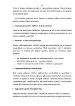 Diplomdarbs 'Finanšu un riska analīzes loma azartspēļu pakalpojuma tirgus normalizācijai Latv', 51.