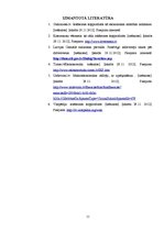 Referāts 'Iekšzemes kopprodukts un iedzīvotāju labklājība', 11.