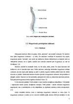 Referāts 'Balsta kustību aparāta traucējumi vispārizglītojošo skolu skolēniem', 8.