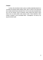 Referāts 'Tulkotāja profesija', 9.