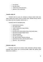 Referāts 'Tulkotāja profesija', 11.