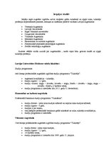 Referāts 'Tulkotāja profesija', 17.