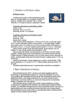 Referāts 'Gulbenē un Gulbenes rajonā realizētās Eiropas Savienības programmas, kas veicina', 4.