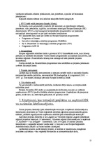 Referāts 'Gulbenē un Gulbenes rajonā realizētās Eiropas Savienības programmas, kas veicina', 13.