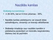 Prezentācija 'Elpināmie maisi, skābekļa maskas ar un bez rezervuāriem', 7.
