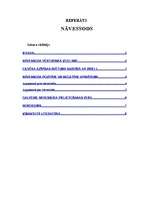 Referāts 'Nāvessods', 1.