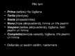Prezentācija 'Klosteri un to nozīme viduslaiku kultūrā', 14.