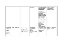 Konspekts 'Nedēļas tematiskais plāns - Es uz ielas', 3.