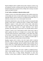 Eseja 'Vingrojumi ar bumbu un nūju: fiziskās sagatavotības un veselības dimensijas', 3.