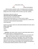 Eseja 'Tiesiski pamatota uzvedība', 2.