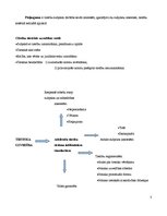 Eseja 'Tiesiski pamatota uzvedība', 3.