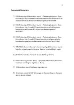 Referāts 'Konteineru pārvadājumu drošība', 17.