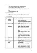 Prakses atskaite 'Atklātās stundas vizuālajā mākslā', 3.