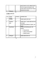 Prakses atskaite 'Atklātās stundas vizuālajā mākslā', 4.