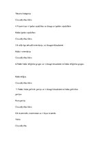 Prakses atskaite 'Klientu apkalpošanas speciālistu nodarbību konspekts', 4.