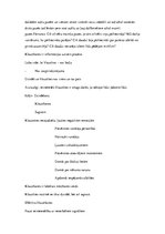 Prakses atskaite 'Klientu apkalpošanas speciālistu nodarbību konspekts', 14.