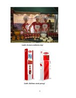 Referāts 'Sponsorēšanas projekts', 6.