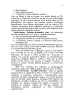 Referāts 'Mūsdienu starptautiskās tirdzniecības sistēmas raksturojums', 13.