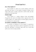 Referāts 'Ārsti un veterinārārsti', 53.