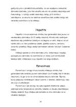 Referāts 'Ārsti un veterinārārsti', 94.