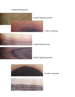 Referāts 'Riekstkoks', 14.