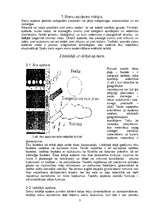 Referāts 'Sienu apdare', 3.