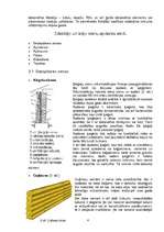 Referāts 'Sienu apdare', 4.