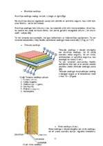 Referāts 'Sienu apdare', 11.