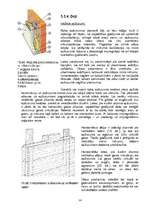 Referāts 'Sienu apdare', 14.