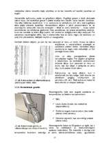 Referāts 'Sienu apdare', 17.