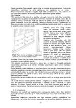 Referāts 'Sienu apdare', 21.