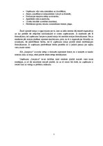 Biznesa plāns 'SIA "Jumprava"', 5.