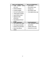 Biznesa plāns 'SIA "Jumprava"', 12.