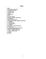 Referāts 'Izraēla', 1.