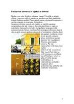 Referāts 'Būvju remonta darbu tehnoloģija', 4.