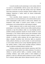 Diplomdarbs 'Nosacītas notiesāšanas institūts krimināllikumā: teorētiskie un praktiskie aspek', 48.