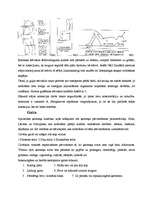 Konspekts 'Gaita. Stāja. Poza', 3.