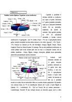 Referāts 'Tūrisms jauniešu vidū', 8.
