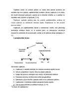 Konspekts 'Ražotāju rīcības teorija. Uzņēmums un uzņēmējdarbība', 5.