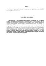 Referāts 'Elektroniskais paraksts', 5.