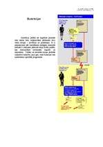 Referāts 'Elektroniskais paraksts', 9.