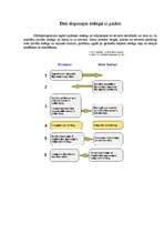 Referāts 'Elektroniskais paraksts', 12.